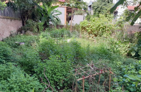 Lô góc, full thổ cư, đường ô tô, bán 230m2 MT9.5m đất Võng La Đông Anh giá đầu tư.